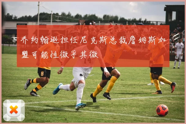 乔约翰逊担任尼克斯总裁詹姆斯加盟可能性微乎其微